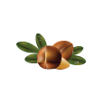 olio_di_argan